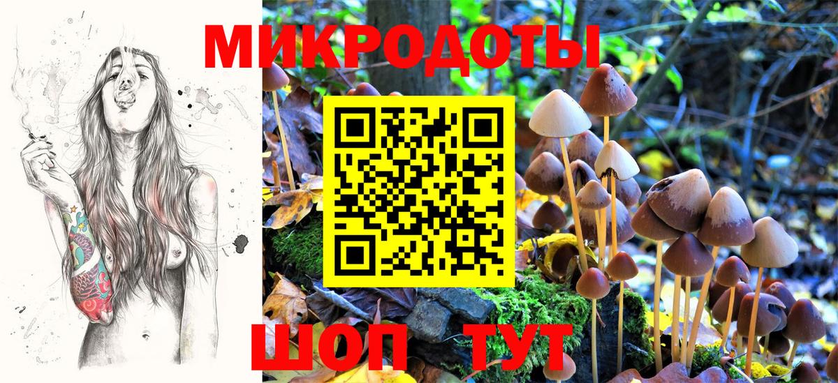 Дятьково  Галлюциногенные грибы MAGIC MUSHROOMS  Вход с VPN  где можно купить наркотик  Псилоцибиновые грибы MAGIC MUSHROOMS 