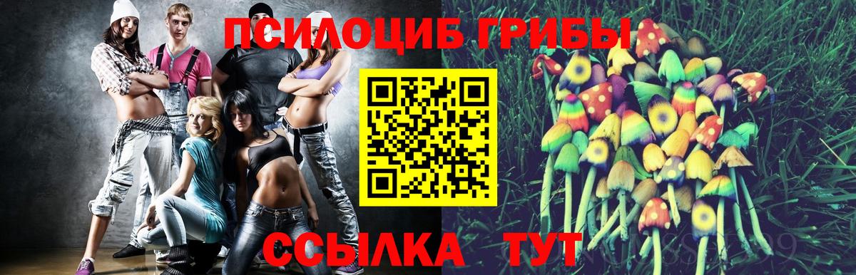 Галлюциногенные грибы Magic Shrooms Дятьково